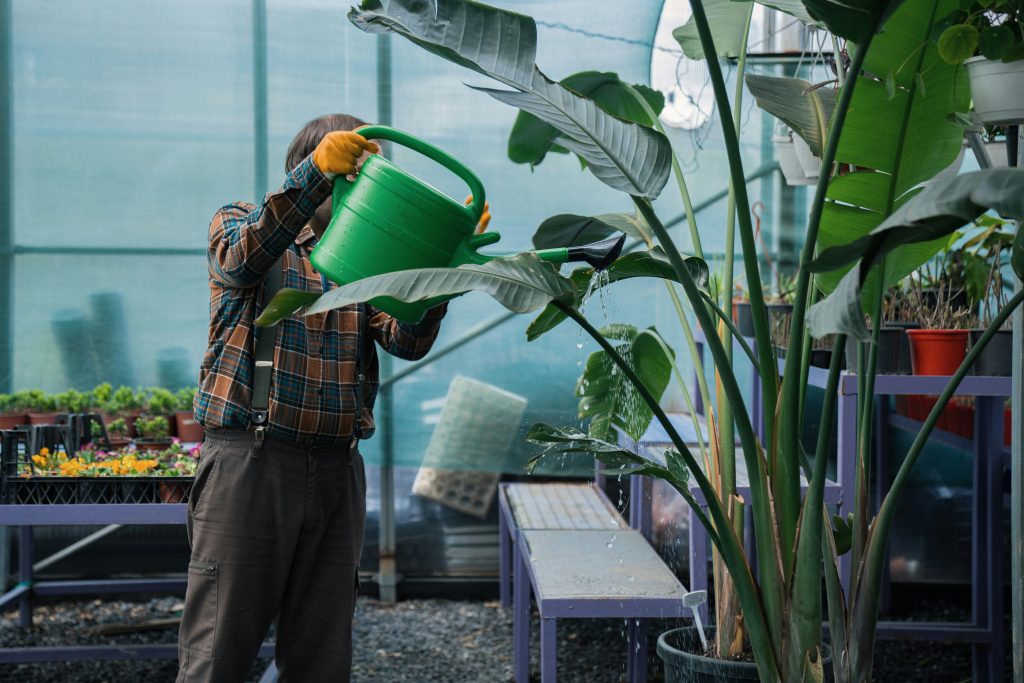 Pest and Disease Management for Home Greenhouses