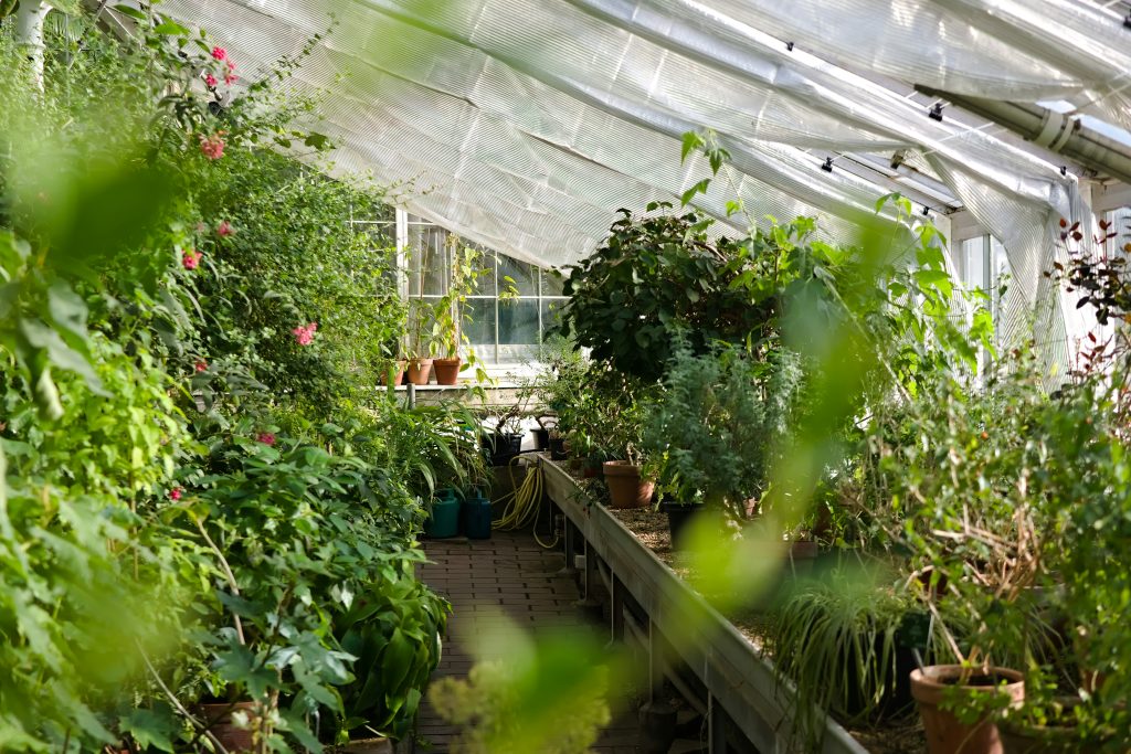 Hydroponics for Compact Greenhouses